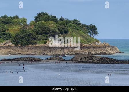 Francia, Cotes d'Armor, Saint Jacut de la Mer, Arcipelago di Ebihens, Isole Hébihens, Pointe de la Chapelle Foto Stock