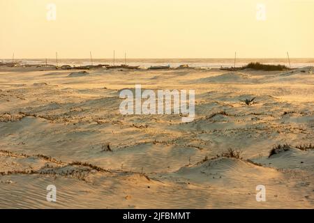 Madagascar, regione di Menabe, Morondava, canoe da pesca sulla spiaggia Foto Stock