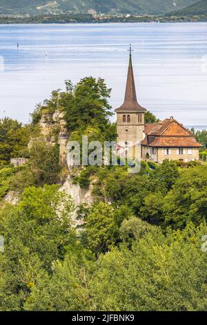 Svizzera, Canton Friburgo, Pays des Trois-Lacs, Riserva Naturale Grande Cariaie sulle rive del Lago di Neuchâtel Foto Stock