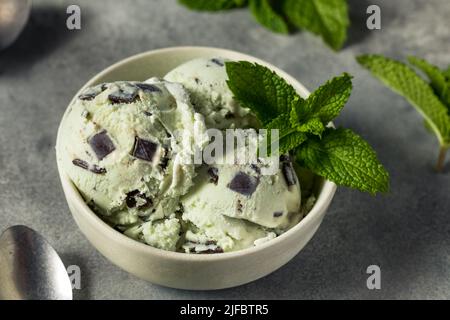 Gelato artigianale al cioccolato alla menta verde in una ciotola Foto Stock