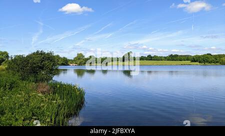 Il bellissimo laghetto di Tundry vicino al canale di Basingstoke a Dogmersfield in Hampshire Foto Stock