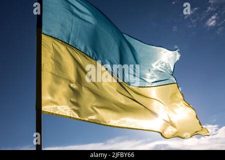 La bandiera dell'Ucraina indipendente soffia nel vento contro il cielo blu e il sole che tramonta Foto Stock