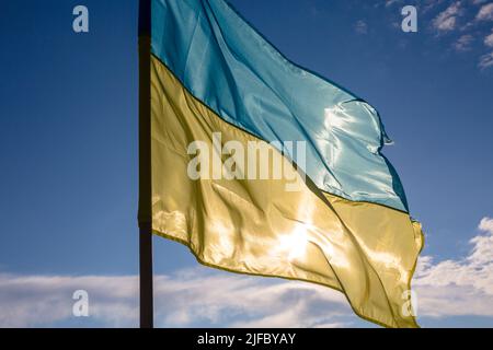 La bandiera dell'Ucraina indipendente soffia nel vento contro il cielo blu e il sole che tramonta Foto Stock