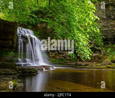 Le splendide cascate Cauldron, note anche come West Burton Falls nel villaggio di West Burton, nello Yorkshire Dales, Regno Unito. Foto Stock