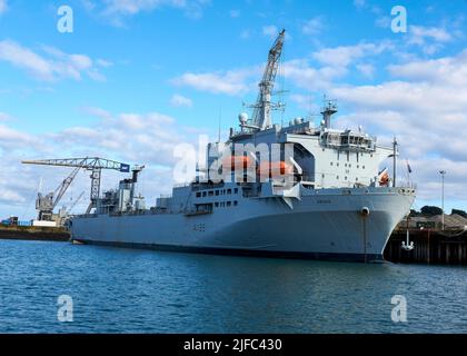 La nave ricevente primaria della casualità (PCRS) Argus RFA A135 legata a Falmouth Harbour, Cornovaglia Foto Stock