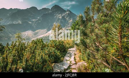 Parco Nazionale di Tatra, Polonia. Sentiero vicino al lago Morskie Oko o al lago Sea Eye in mattinata estiva. Five Lakes Valley. Splendida vista panoramica Foto Stock