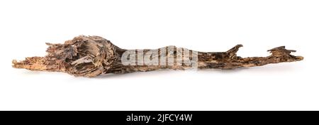 pezzo di vecchio tronco di albero, intemperiato e marcio, isolato su sfondo bianco, legno decaduto Foto Stock