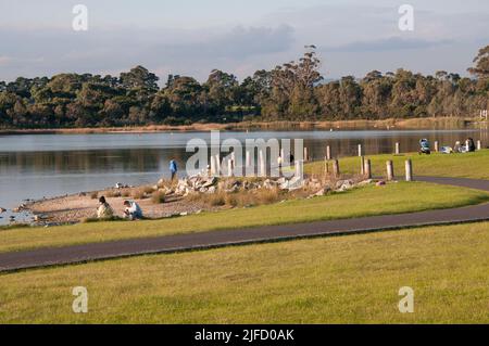 Karkarook Park è un parco metropolitano di 15 ettari a Moorabbin, Melbourne, Victoria, Australia, che comprende una zona umida artificiale e un lago pieno di pesce Foto Stock