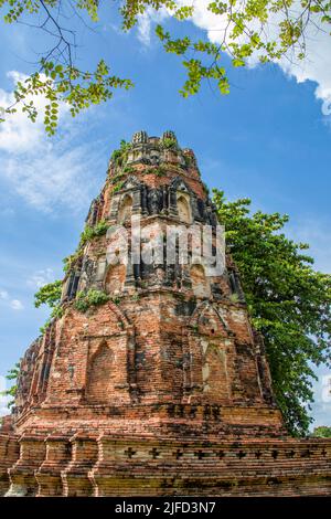 Il Prang in Wat Mahathat (Tempio della Grande Reliquia), un tempio buddista in Ayutthaya Thailandia. La storia di questo tempio inizia nel 1374. Foto Stock