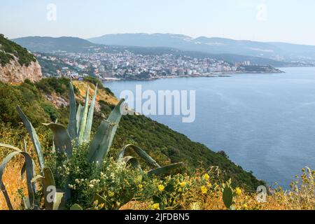 Piante che crescono sulla costa del Montenegro. Dobra Voda resort in background. Europa Foto Stock