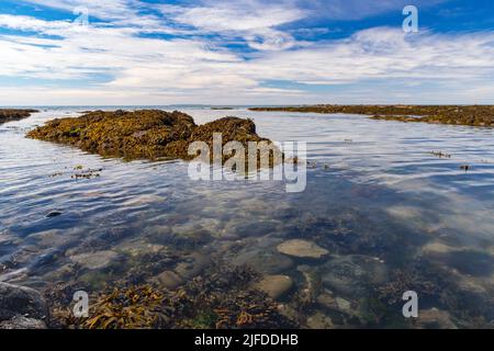 Vista panoramica sul mare di Greencliff Beach, con rocce esposte, piscine rocciose e vista mare verso Lundy Island a Low Tide: Greencliff, vicino a Bideford Foto Stock