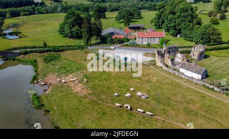 Vista aerea delle rovine del Priorato di Kirkham nel Distretto Ryedale del North Yorkshire nell'Inghilterra nord-orientale. Le rovine di Kirkham Priory sono situate o Foto Stock