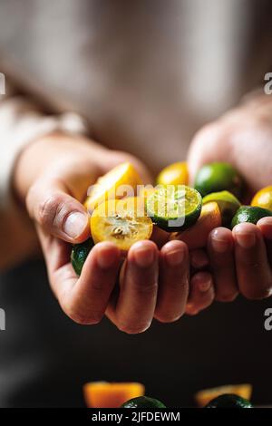 Tenendo molti piccoli kumquats e limes in entrambe le mani, il processo di fare una bevanda fredda fredda fredda fredda fredda fredda fredda e fruttata - foto di scorta Foto Stock