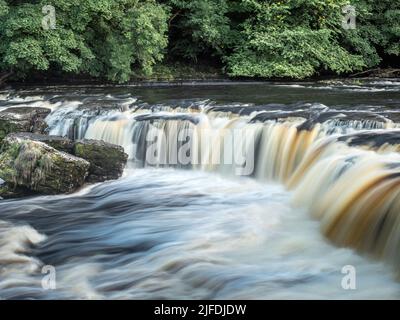 Le Cascate di Aysgarth sono una triplice fuga di cascate, circondate da una foresta scavata dal fiume Ure durante la sua discesa attraverso Wensleydale nello Yorkshire Foto Stock