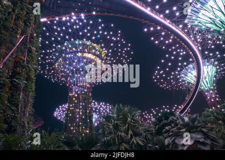 Singapore - 26 Giugno 2022: Superalberi illuminati con Skywalk durante lo spettacolo di luci a colori serale a Gardens by the Bay in Singapore. Foto Stock