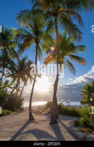 Tramonto sulle palme nella splendida spiaggia tropicale di Key Largo. Florida Foto Stock