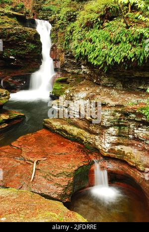 Adams Falls, una cascata nel Ricketts Glenn state Park, Pennsylvania, si tuffa nel paesaggio e attraverso i boschi e la foresta Foto Stock