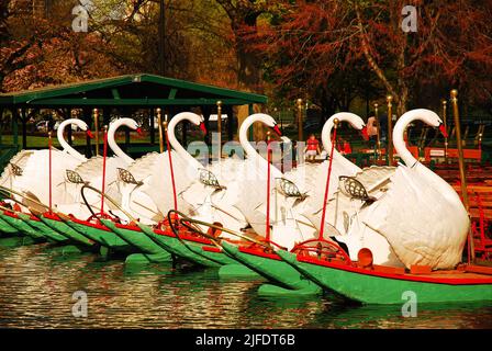 Le iconiche barche Swan del Boston Publik Garden, vicino a Boston Common, sono ancorate alla fine della giornata sulla laguna e forniscono delle corse Foto Stock