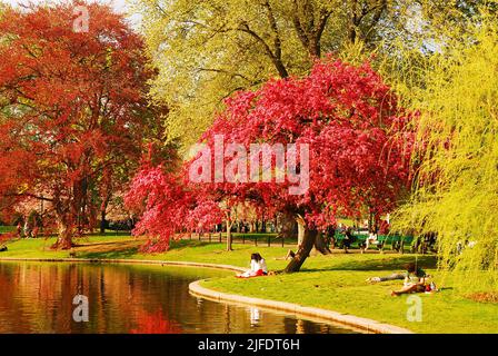 La gente gode di una romantica e rilassante giornata di primavera sotto i fiori di ciliegi nel Publik Garden di Boston, vicino a Boston Common Foto Stock