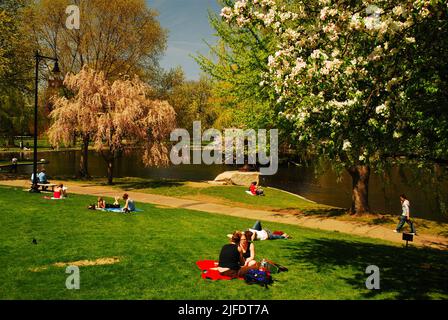 Le coppie e gli amici potranno trascorrere una rilassante giornata primaverile nel Boston Publik Garden, vicino al Boston Common Foto Stock