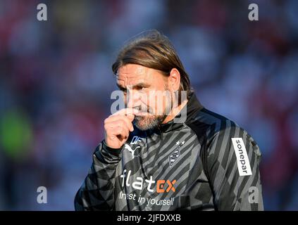 Allenatore Daniel FARKE (MG) gesto, gesto, partita di prova di calcio Rot-Weiss Essen (e) - Borussia Monchengladbach (MG) 2: 4, il 1st luglio 2022 ad Essen/Germania. Â Credit: dpa Picture Alliance/Alamy Live News Foto Stock