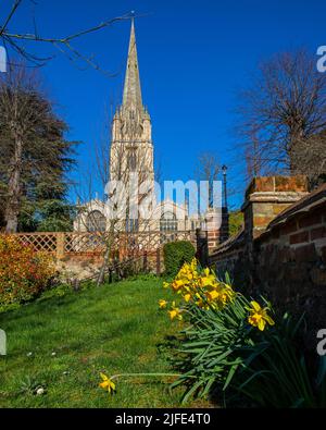 Una bella vista durante la primavera della chiesa di St. Marys nella città di Saffron Walden in Essex, Regno Unito. Foto Stock