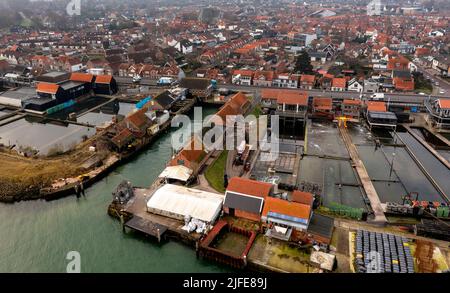 Veduta aerea di allevamenti di ostriche con pozzi di ostriche a Yerseke, famosa per la sua industria della pesca lungo Oosterschelde (Scheldt orientale), Zelanda, Paesi Bassi. Foto Stock