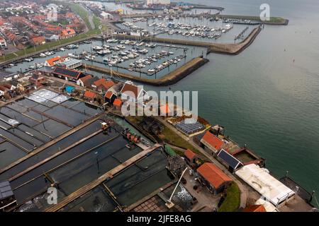 Veduta aerea di allevamenti di ostriche con pozzi di ostriche a Yerseke, famosa per la sua industria della pesca lungo Oosterschelde (Scheldt orientale), Zelanda, Paesi Bassi. Foto Stock