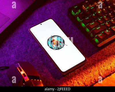 West Bangal, India - 20 aprile 2022 : Battlefield 2042 on phone screen stock image. Foto Stock