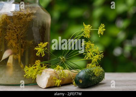 Vasi da primo piano di sottaceti fatti in casa, naturale potenziamento immunitario. Colpo a livello dell'occhio, primo piano estremo. Foto Stock