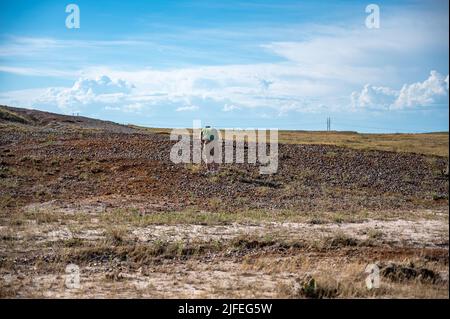 Lone individuale raccogliere rocce nel wakonda agate letti nel gap bufalo nazionale prateria nel Dakota del Sud, Stati Uniti Foto Stock