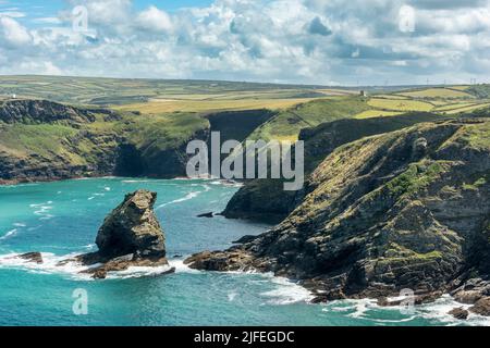 Viste mozzafiato dell'aspra costa della Cornovaglia Nord dal South Coast Path guardando verso Boscastle da Trethevy nella Cornovaglia Nord. Foto Stock