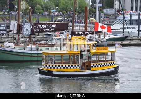 Victoria, Canada - 19 giugno 2011: Barche di taxi d'acqua nel porto della città. Foto Stock