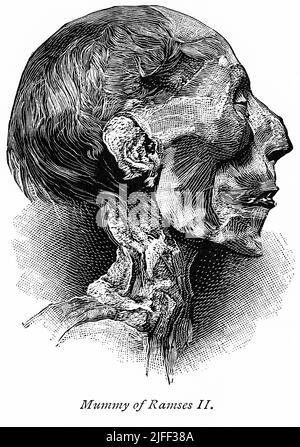 Mummia di Ramses II, Illustrazione dal Libro, 'dal faraone a Fellah' di C.F. Moberly Bell con illustrazioni di Georges Montbard, inciso da Charles Barbant, Wells Gardner, Darton, & Co., Londra, 1888 Foto Stock