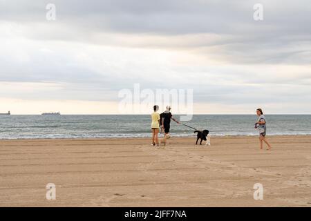 Valencia, Spagna. 1st luglio 2022. Persone con un cane visto alla spiaggia di Pinedo. Le spiagge di Valencia sono una delle principali attrazioni turistiche della città. (Credit Image: © Xisco Navarro/SOPA Images via ZUMA Press Wire) Foto Stock