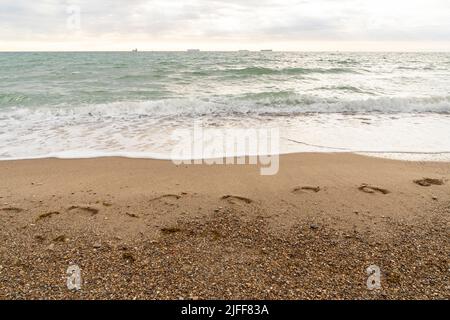 Valencia, Spagna. 1st luglio 2022. Vista sulla spiaggia di El Saler in una giornata di sole. Le spiagge di Valencia sono una delle principali attrazioni turistiche della città. (Credit Image: © Xisco Navarro/SOPA Images via ZUMA Press Wire) Foto Stock