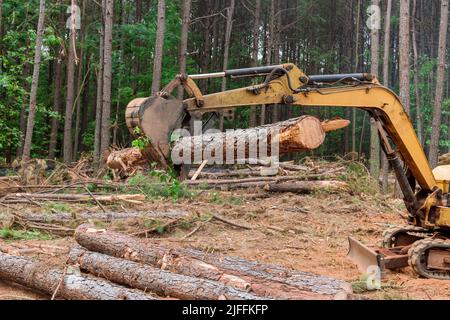 Nella foresta, solleva i tronchi usando un manipolatore del trattore per atterrare è liberato per costruire le case Foto Stock