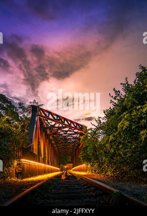 L'Upper Bukit Timah vecchia Singapore-Malese Railway Truss Bridge vicino al Rail Mall. Foto Stock