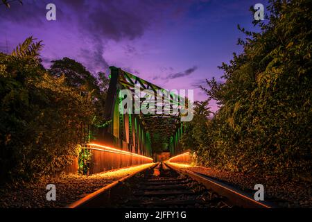 L'Upper Bukit Timah vecchia Singapore-Malese Railway Truss Bridge vicino al Rail Mall. Foto Stock