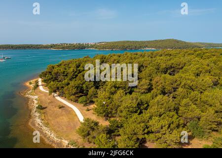 Vista aerea di una pineta costiera vicino a Medulin città in Istra, Croazia Foto Stock