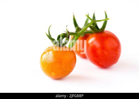 Tomatos rossi isolati su sfondo bianco Foto Stock