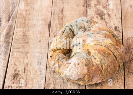 Crescere rapidamente su pane ammuffito in spore verdi e bianche Foto Stock