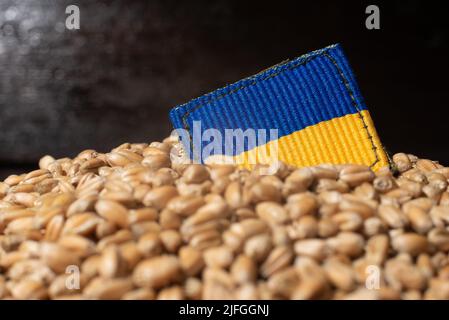 Un raccolto fresco di grano in Ucraina. Bandiera Ucraina sul grano appena raccolto. Foto Stock