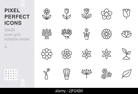 Icona linea fiore impostata. Rosa, tulipano in vaso, bouquet di frutta, fiore di primavera, cactus illustrazione vettoriale minima segni di contorno semplici per la consegna dei fiori Illustrazione Vettoriale