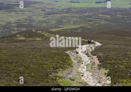 Due corridori caduti scendono dalla cima di Carn Liath a Glen Tilt vicino all'atollo di Blair nel Cairngorms Scozia Regno Unito Foto Stock