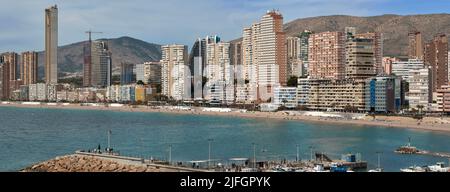 Vista panoramica di Playa Poniente dal porto di pescatori della città di Benidorm, provincia di Alicante, Comunità Valenciana, Spagna, Europa Foto Stock