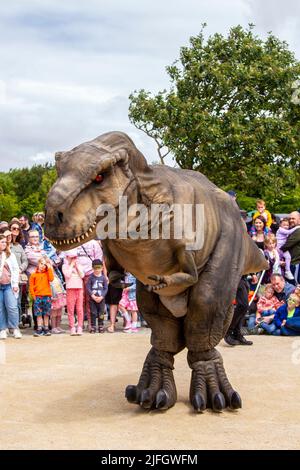 Dino Jurassic Live a Southport, Merseyside. UK Entertainment, Jurassic Live - incontra lo spaventosamente realistico spettacolo T-Rex Dinosaurs, un'avventura spaventosa nel Victoria Park far Away Land Family Festival. Jurassic World Live è un live show prodotto da Feld Entertainment e NBC Universal basato sul franchise Jurassic World. Le famiglie con bambini si sono recate al Victoria Park per una "Terra lontana" per vedere i dinosauri giganti animatronici che camminano, un'esperienza preistorica del fine settimana. Foto Stock