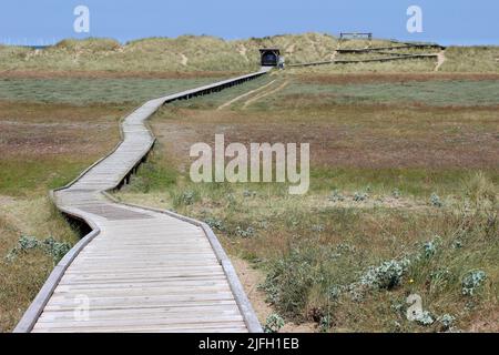 Passerella a Gronant Dunes SSSI Nature Reserve vicino a Prestatyn, Galles, Regno Unito Foto Stock