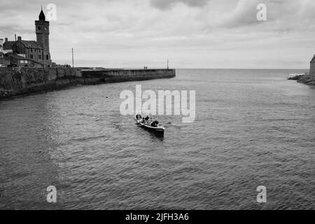 Addestramento di Rowing di Gig a Porthleven, Cornovaglia Foto Stock