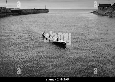 Addestramento di Rowing di Gig a Porthleven, Cornovaglia Foto Stock